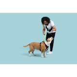 Hand Free Crossbody Dog Leash