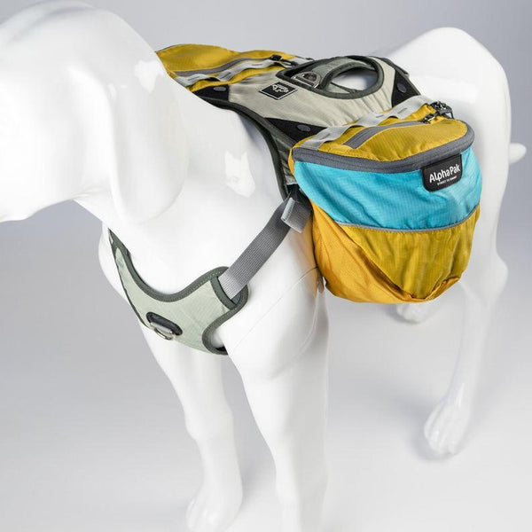 Alpha Pak Adventurer EZ Latch Two-Piece Dog Backpack