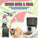 Automatic Cat Feeder