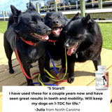 1-TDC Oral Health & Joint Mobility Support for Happy, Active Dogs