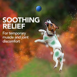 Vet's Best Hip & Joint Support Chewable Tablets for Dogs - 50 Count for Aches & Pains Relief