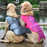 Dog Life Jacket with Rescue Handle - Adjustable Flotation Vest for Small, Medium, and Large Dogs - Ideal for Swimming Pools and Beaches