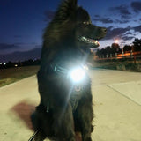 Canine Headlight Harness