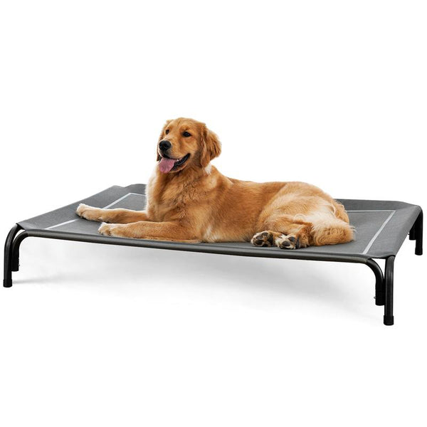 Valuxe Elevated Dog Bed for Large Dogs