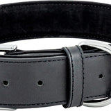 Pet Collection Padded Cute Dog Collar