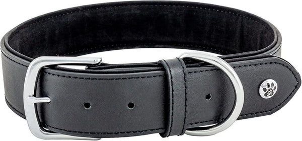 Pet Collection Padded Cute Dog Collar