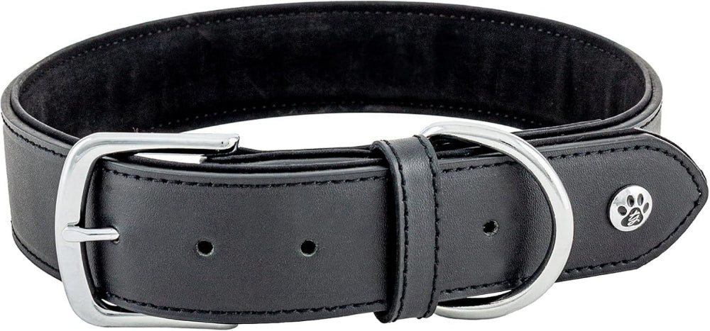 Pet Collection Padded Cute Dog Collar