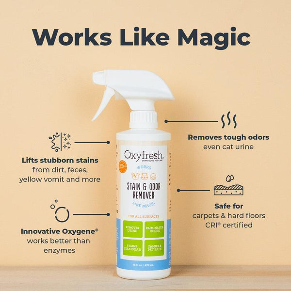 Advanced Pet Stain & Odor Remover