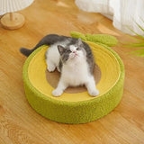 Cat Bed, Cat Scratching Board &Quality