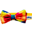  Rainbow tie dye