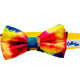  Rainbow tie dye