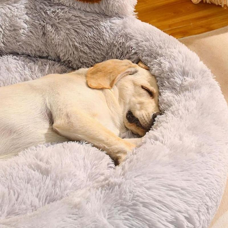 Cat Cartoon Bear Paw Design Pet Bed