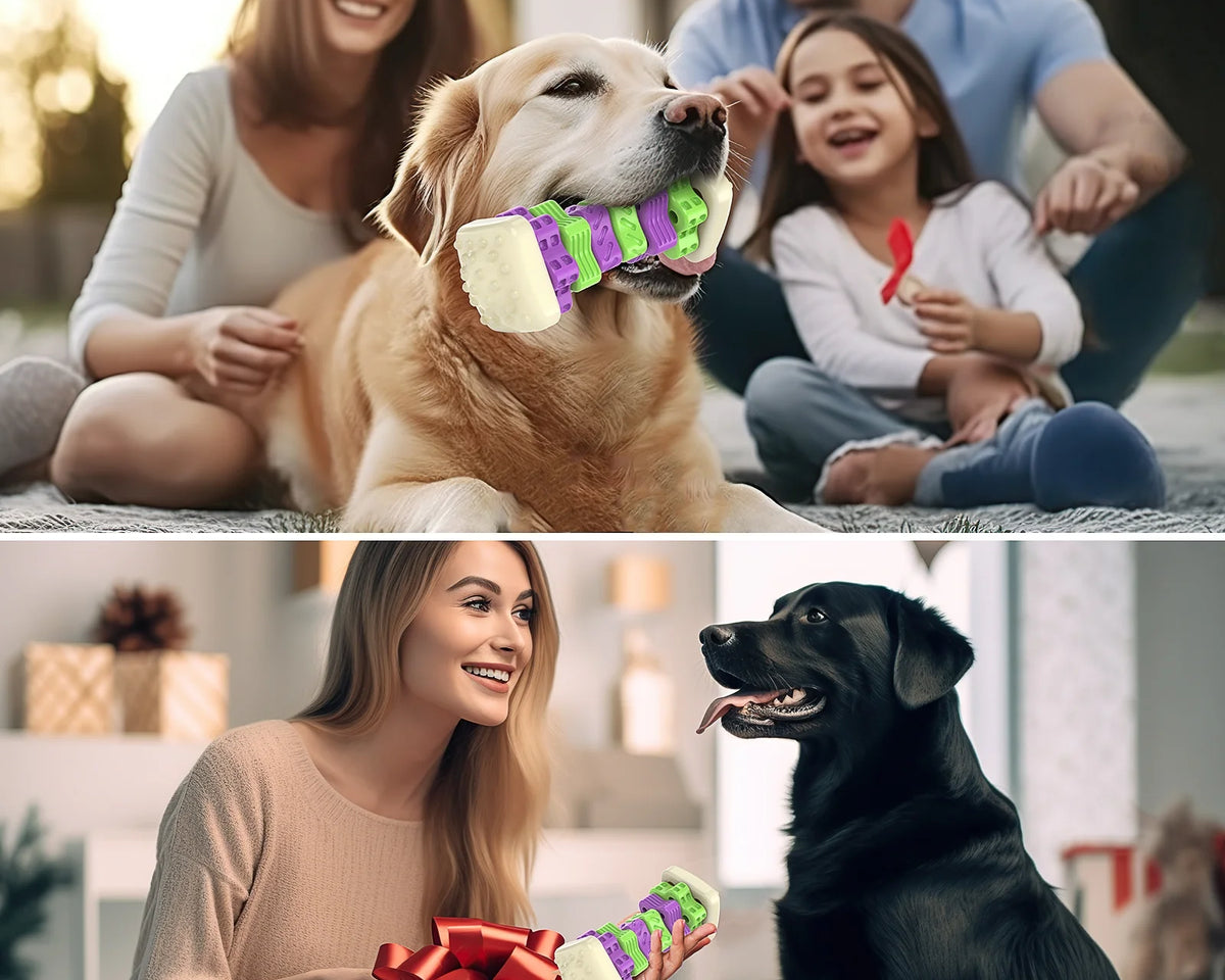 Interactive Dog Chew Toy – Vibrantly Colored Enrichment Toy for Aggressive Chewers