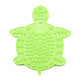  Green Turtle