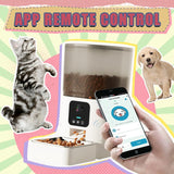 Automatic Cat Feeder