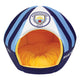  Manchester city
