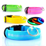 LED Dog Safety Collar – Night Glow - My Pet Collective LED Dog Safety Collar – Night Glow