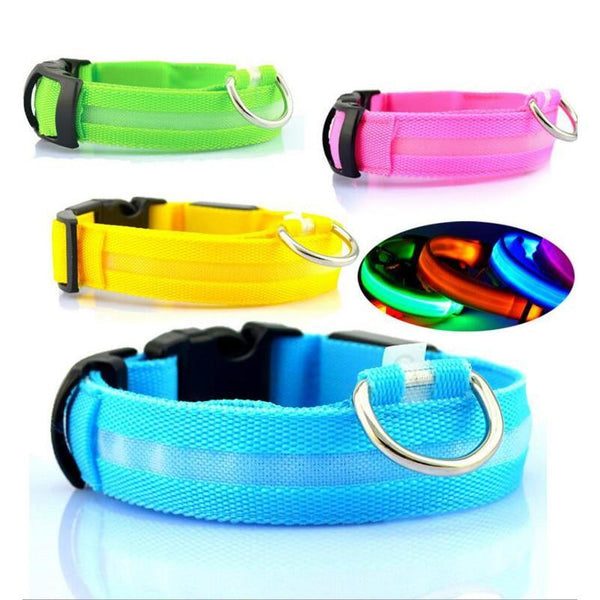 LED Dog Safety Collar – Night Glow - My Pet Collective LED Dog Safety Collar – Night Glow