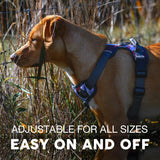 Embark Adventure Reflective No-Pull Dog Harness for Small Breeds - Durable Military-Grade Nylon with Front Clip and Gel-Enhanced Handle