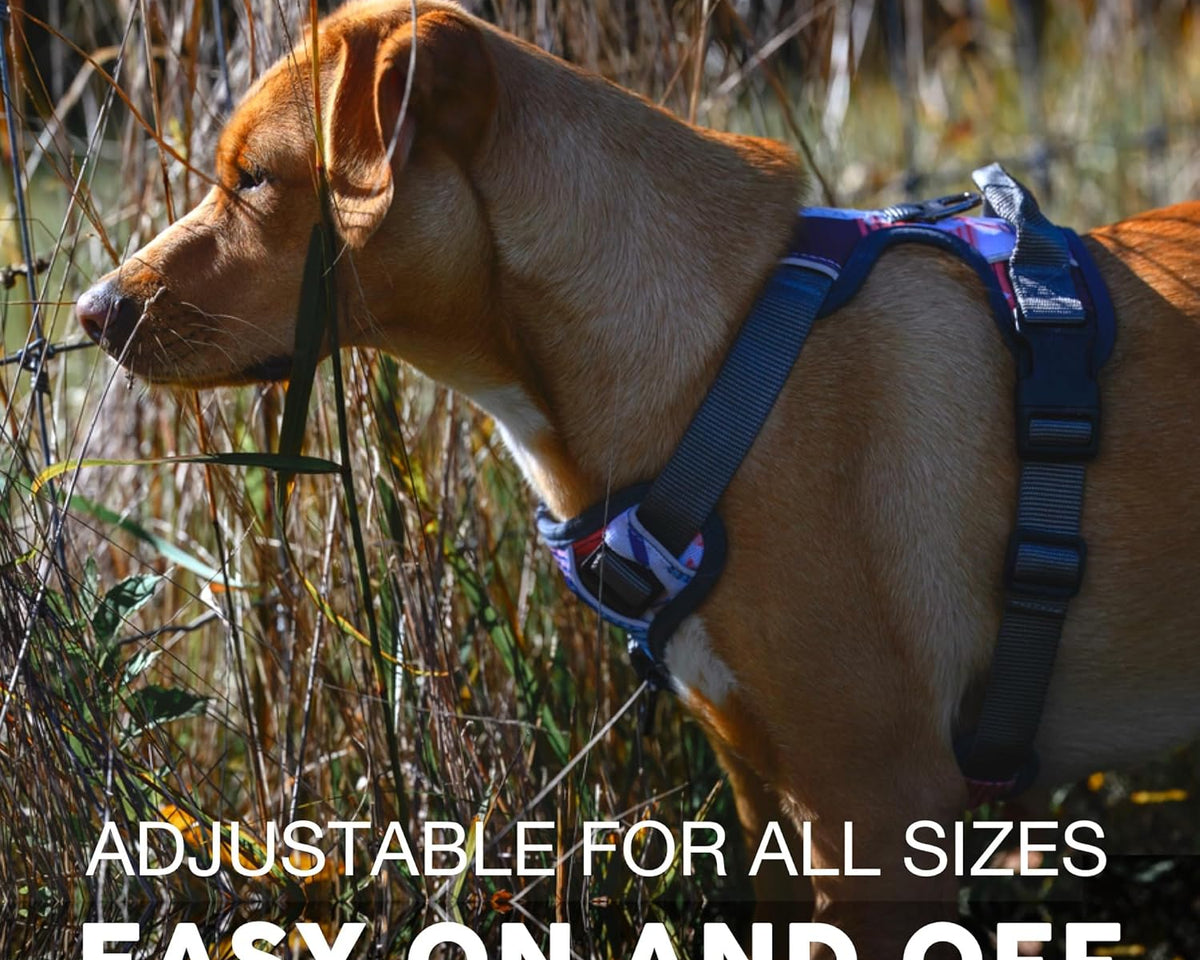 Embark Adventure Reflective No-Pull Dog Harness for Small Breeds - Durable Military-Grade Nylon with Front Clip and Gel-Enhanced Handle