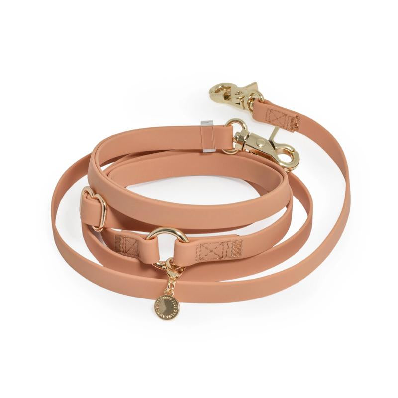 4-In-1 Convertible Hands Free Cloud Dog Leash