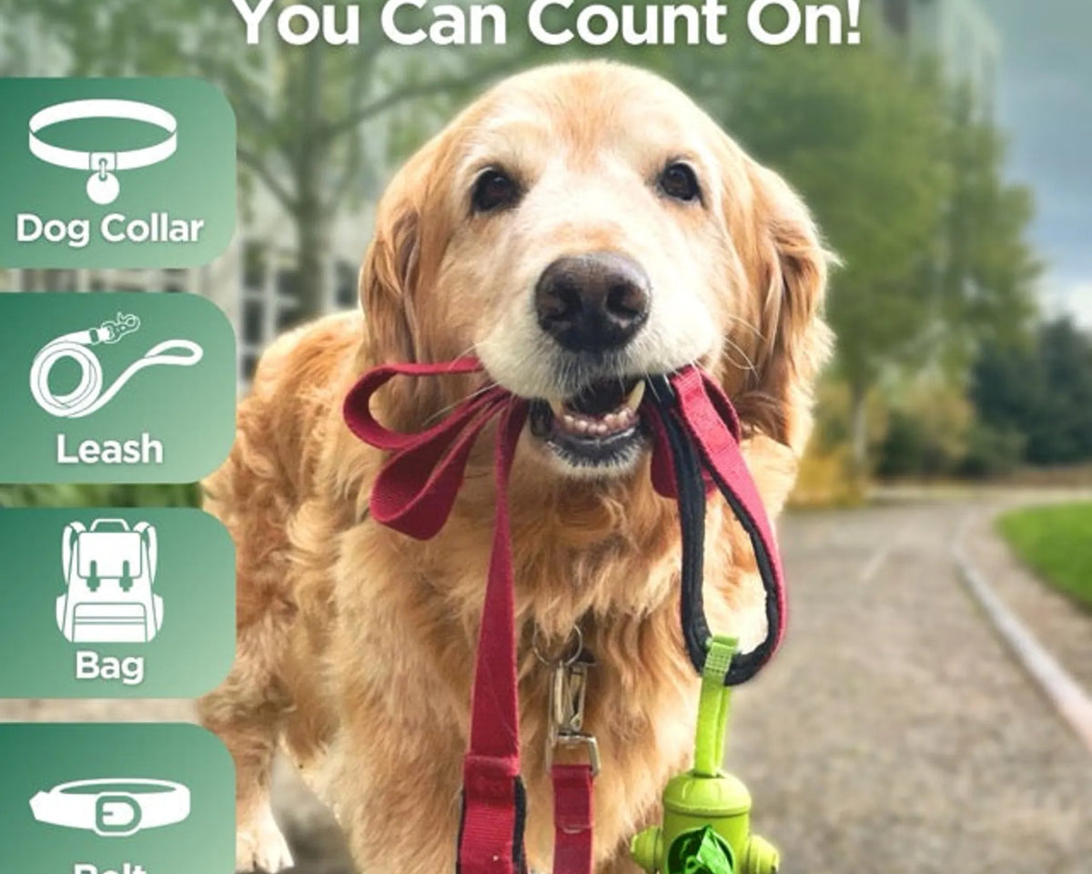 The Original Poop Bags Hydrant Dispenser
