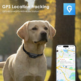 Ultimate 4G Pet GPS Tracker - Stylish Smart Collar for Dogs & Cats, Real-Time Location, Long Battery Life, Anti-Loss Solution for iOS & Android