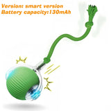 Interactive Automatic Rolling Dog Ball Toy - Rechargeable Smart Toy for Puppies and Dogs