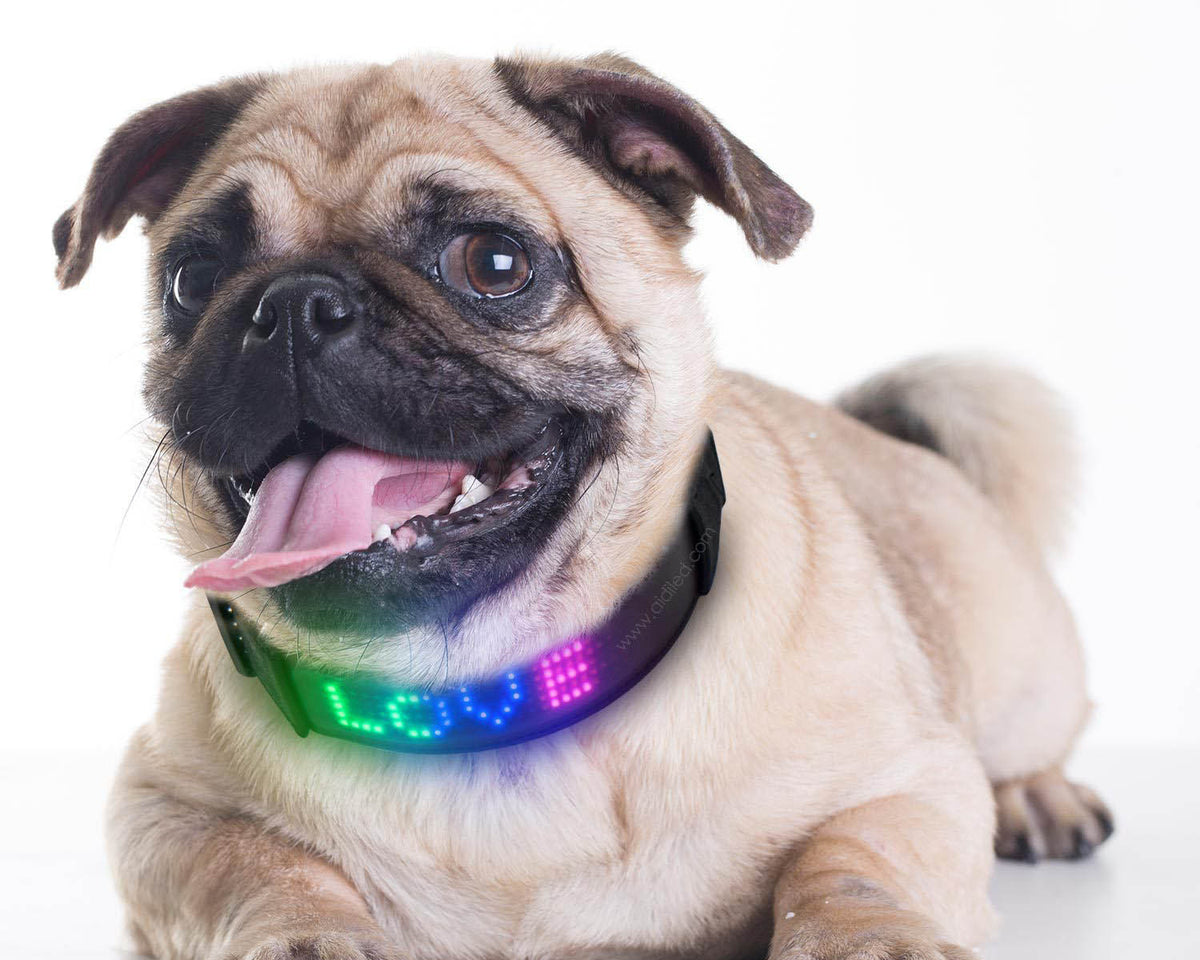 LED Bluetooth USB Charging Pet Collar