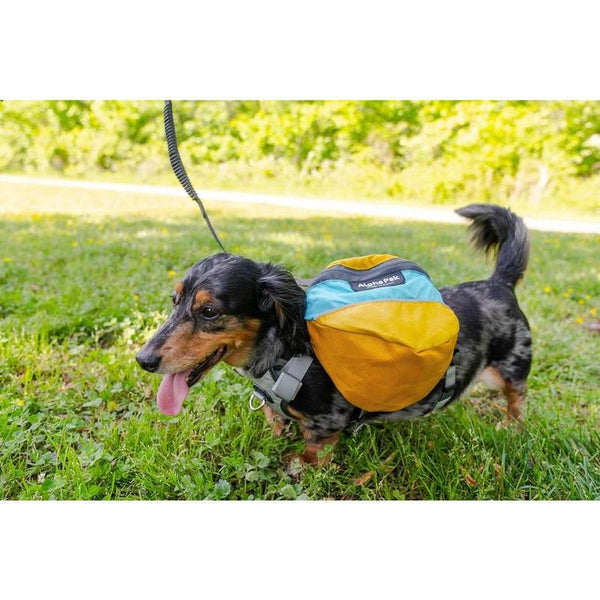 Alpha Pak Adventurer EZ Latch Two-Piece Dog Backpack