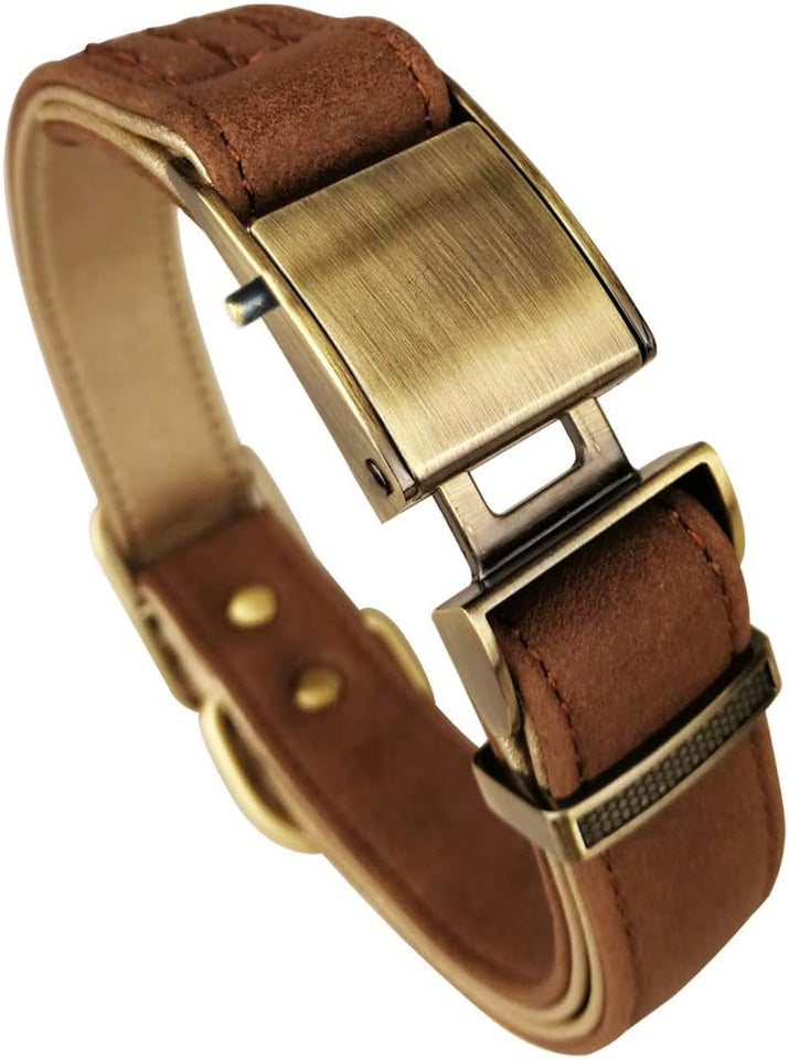 Basic Classic Luxury Padded Leather Dog and Cats Collar,