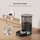Smart Wi-Fi Cat Feeder with 3L Capacity, Timer Function, and 180-Day Battery Life