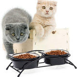 Elevated Ceramic Pet Bowls for Food and Water, 12 Ounces, Dishwasher Safe, Suitable for Cats and Small Dogs