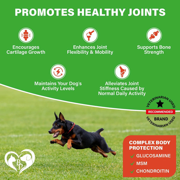 Premium Hip & Joint Soft Chews for Senior Dogs - Natural Arthritis Relief with Glucosamine, Chondroitin & Turmeric for Enhanced Mobility