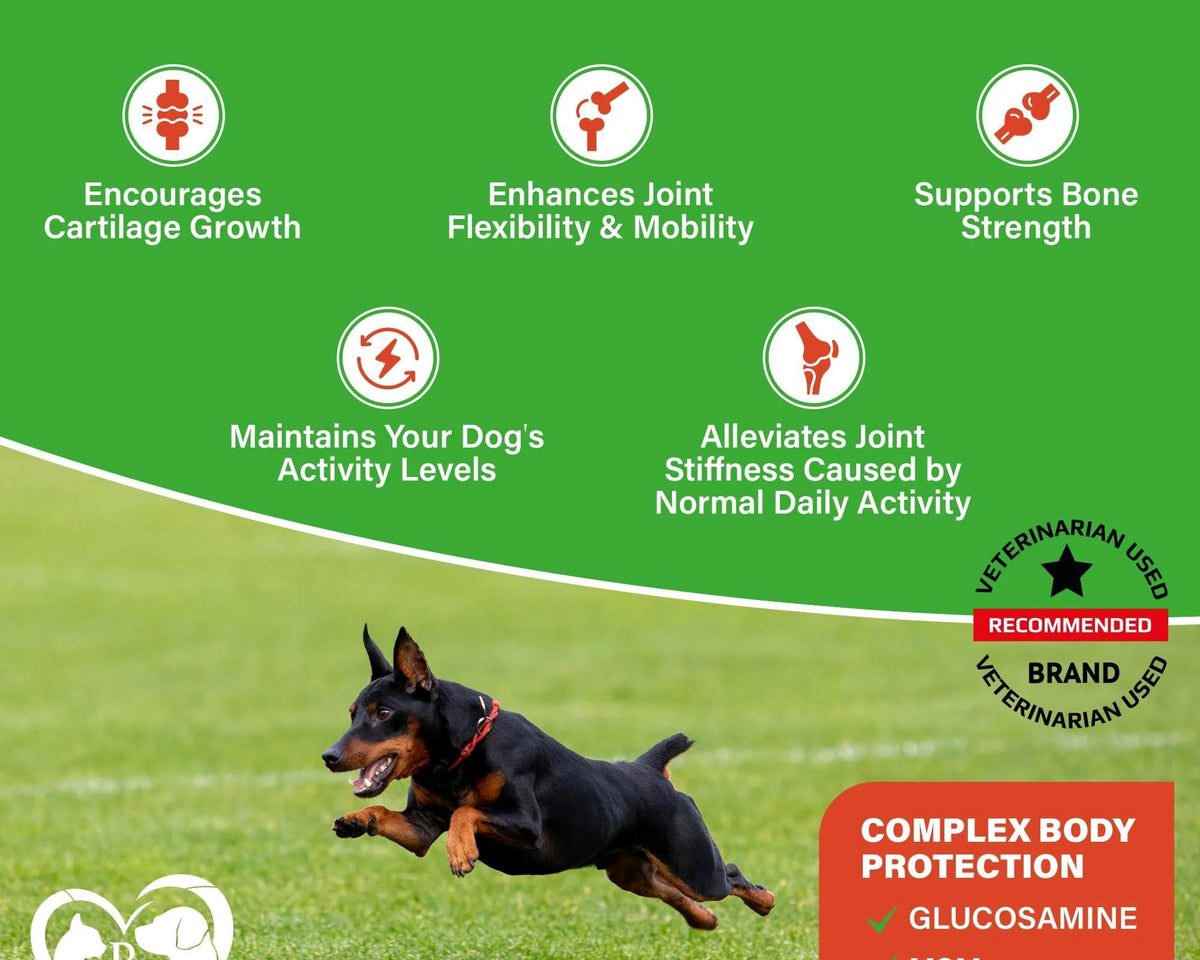 Premium Hip & Joint Soft Chews for Senior Dogs - Natural Arthritis Relief with Glucosamine, Chondroitin & Turmeric for Enhanced Mobility