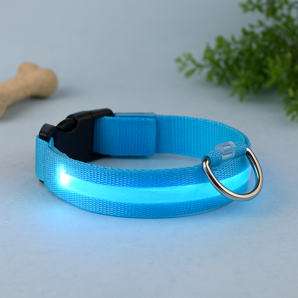 LED Dog Safety Collar – Night Glow - My Pet Collective LED Dog Safety Collar – Night Glow