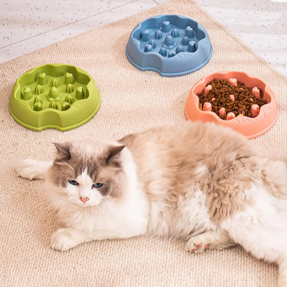Pet Bowl with Stable Bottom Anti-Overturn