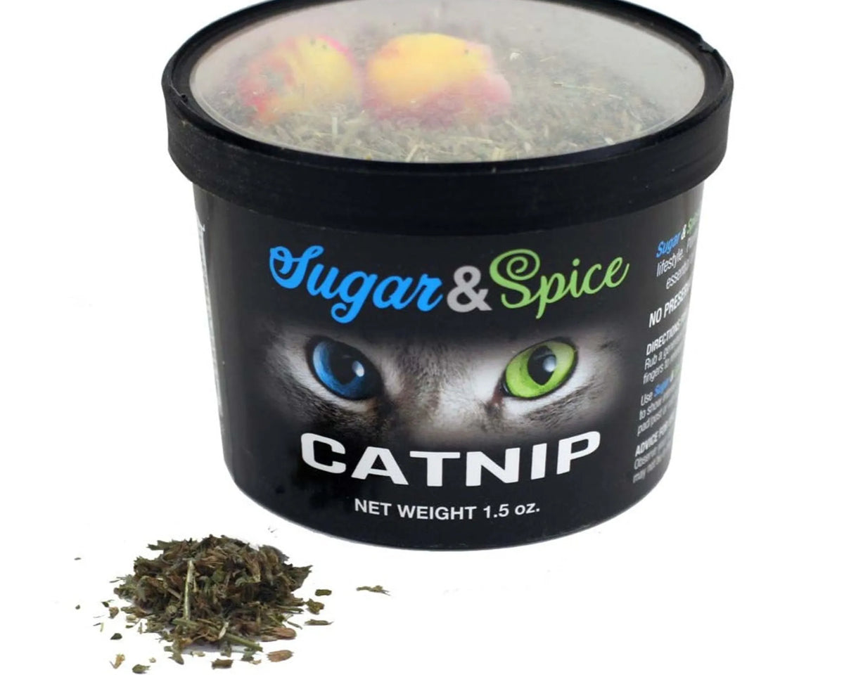Catnip Container