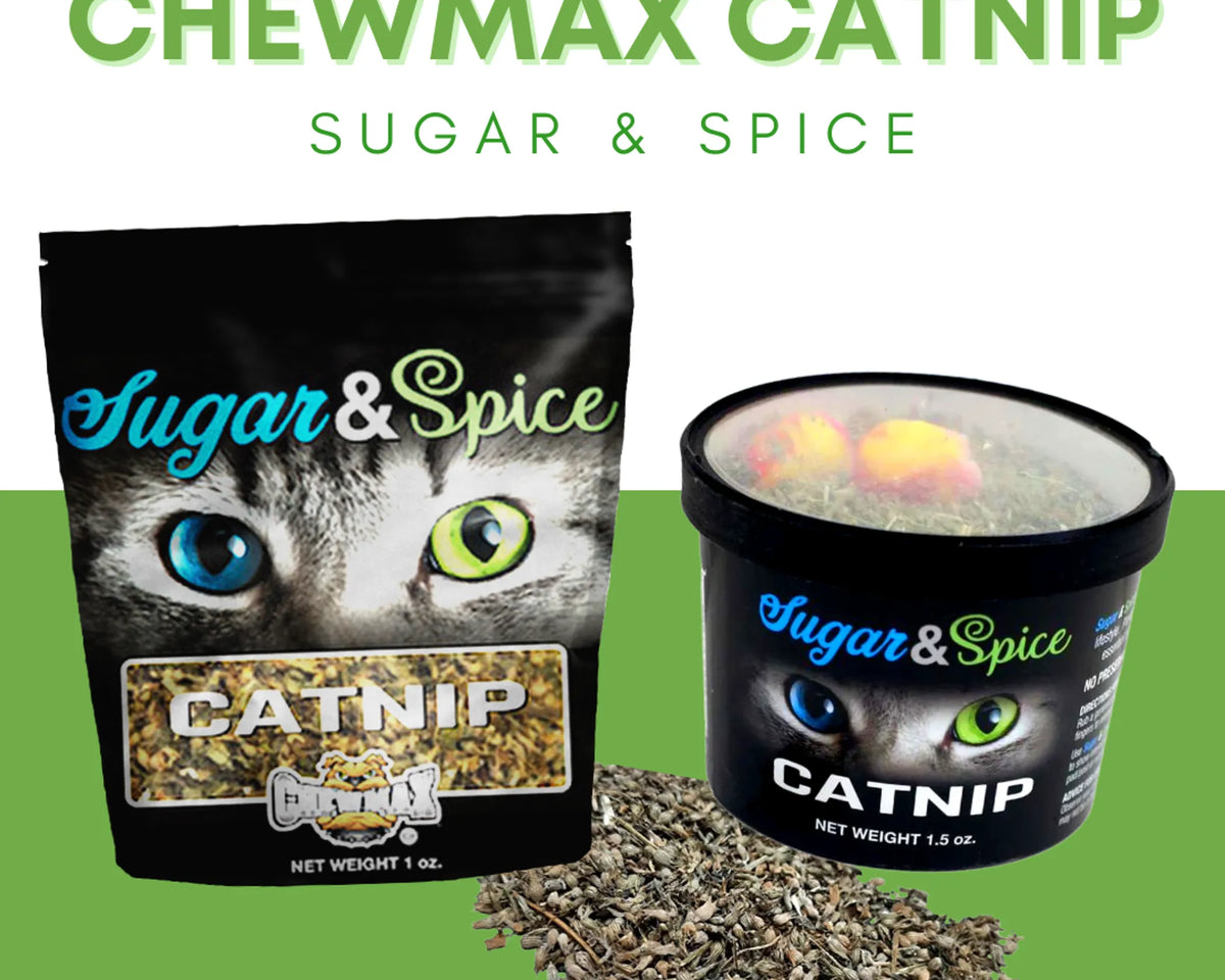 Catnip Container