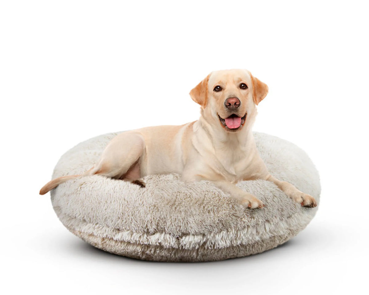Bagel Bed SM - Blondie