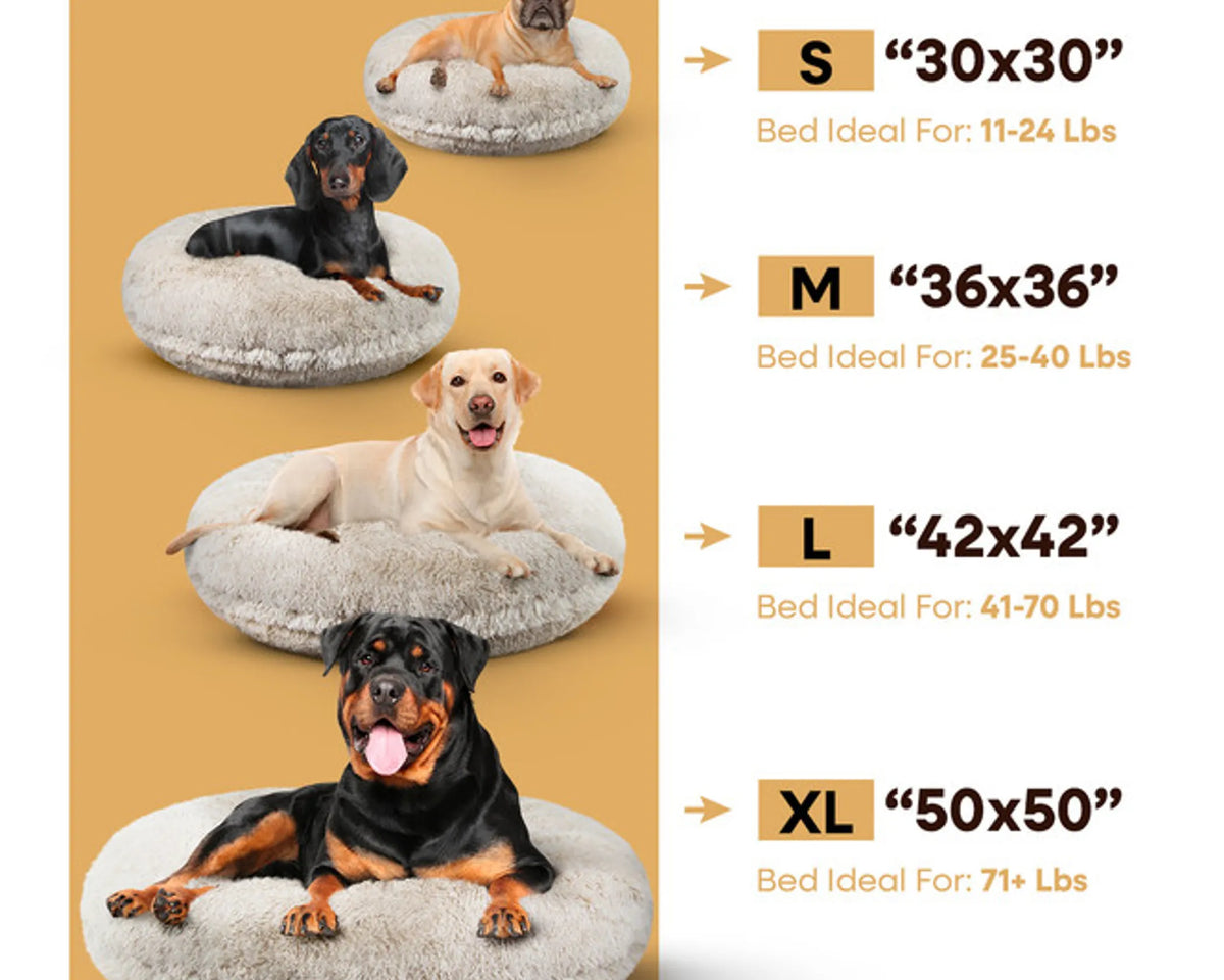 Bagel Bed SM - Blondie