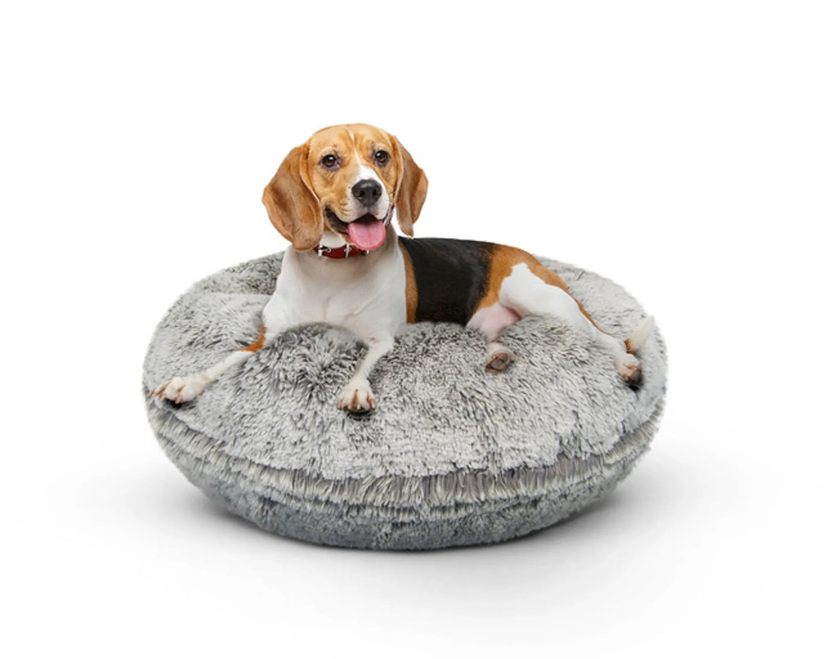 Bagel Bed SM - Blondie