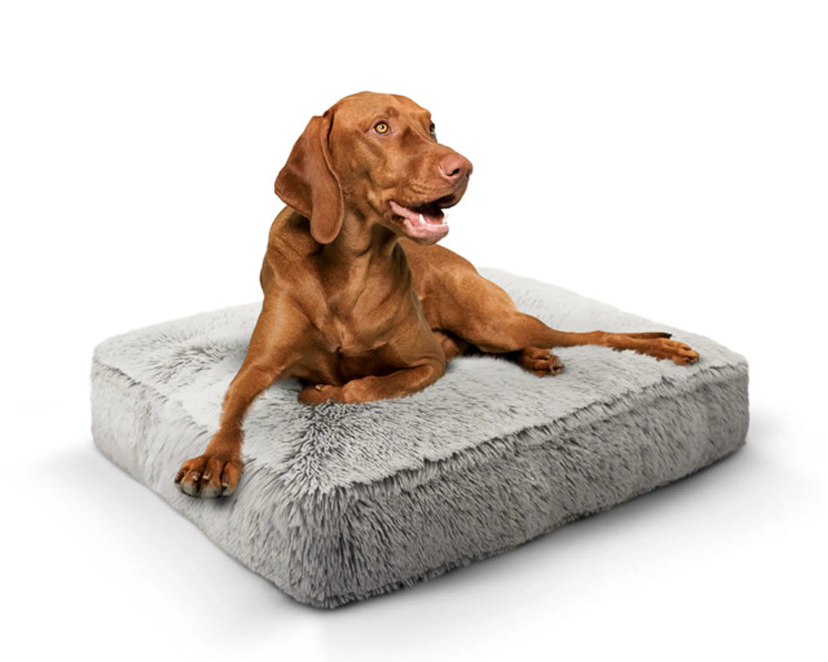Rectangle Bed SM - Frosted Willow