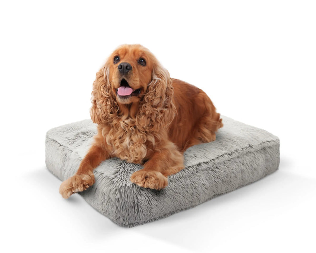 Rectangle Bed SM - Frosted Willow