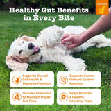 Delicious Pumpkin Flavor Probiotic Bites for Dogs - 3 Pack, 60 Count