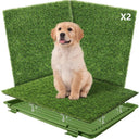  Green Tray