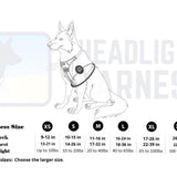 Canine Headlight Harness