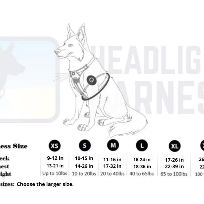 Canine Headlight Harness