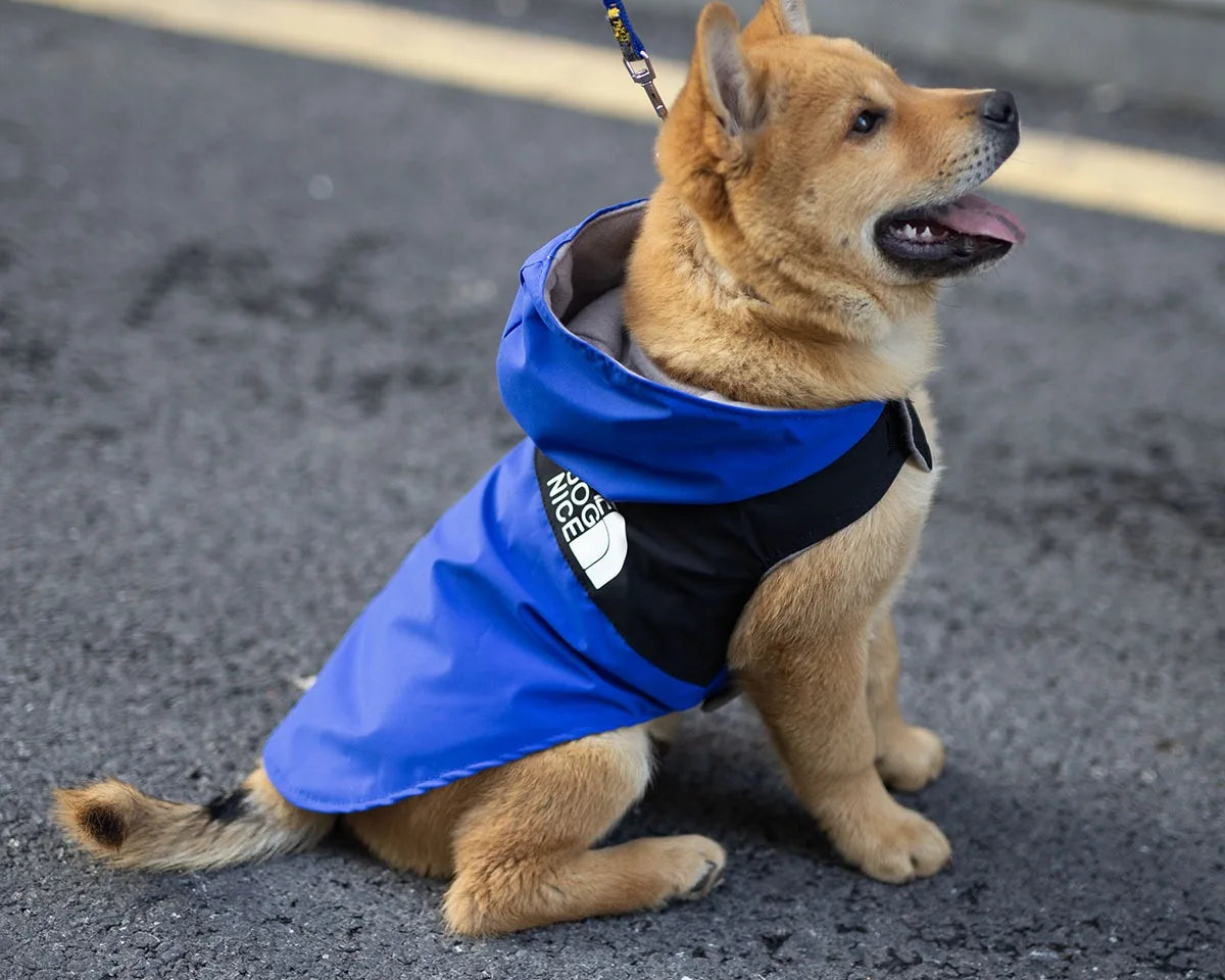 Stylish Waterproof Raincoat Jacket for Dogs - Perfect Spring & Autumn Outerwear for Your Handsome Pup!