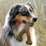 Benebone Bacon Chew Toy for Aggressive Chewers 